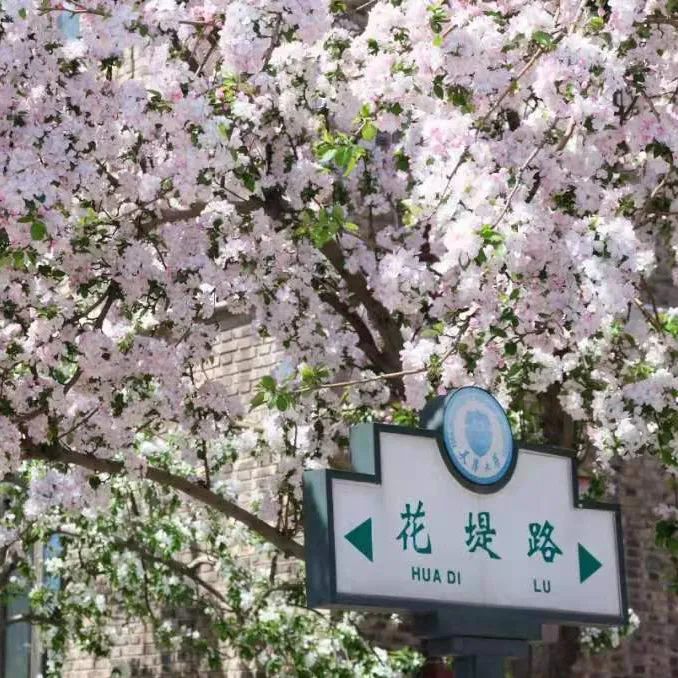 一年换一次，天大校庆专属头像壁纸来啦！