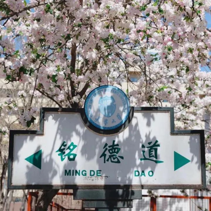 一年换一次，天大校庆专属头像壁纸来啦！