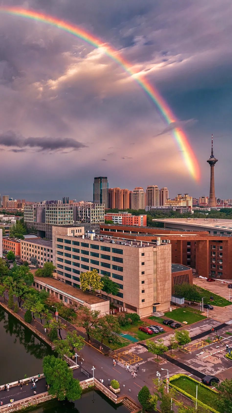 一年换一次，天大校庆专属头像壁纸来啦！
