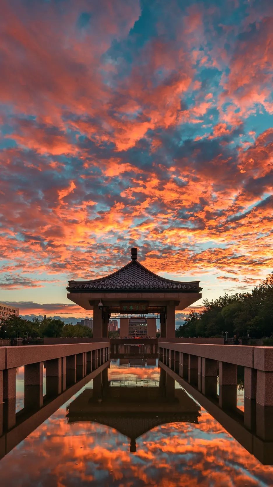 一年换一次，天大校庆专属头像壁纸来啦！