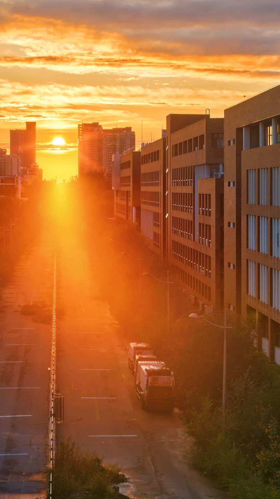 一年换一次，天大校庆专属头像壁纸来啦！