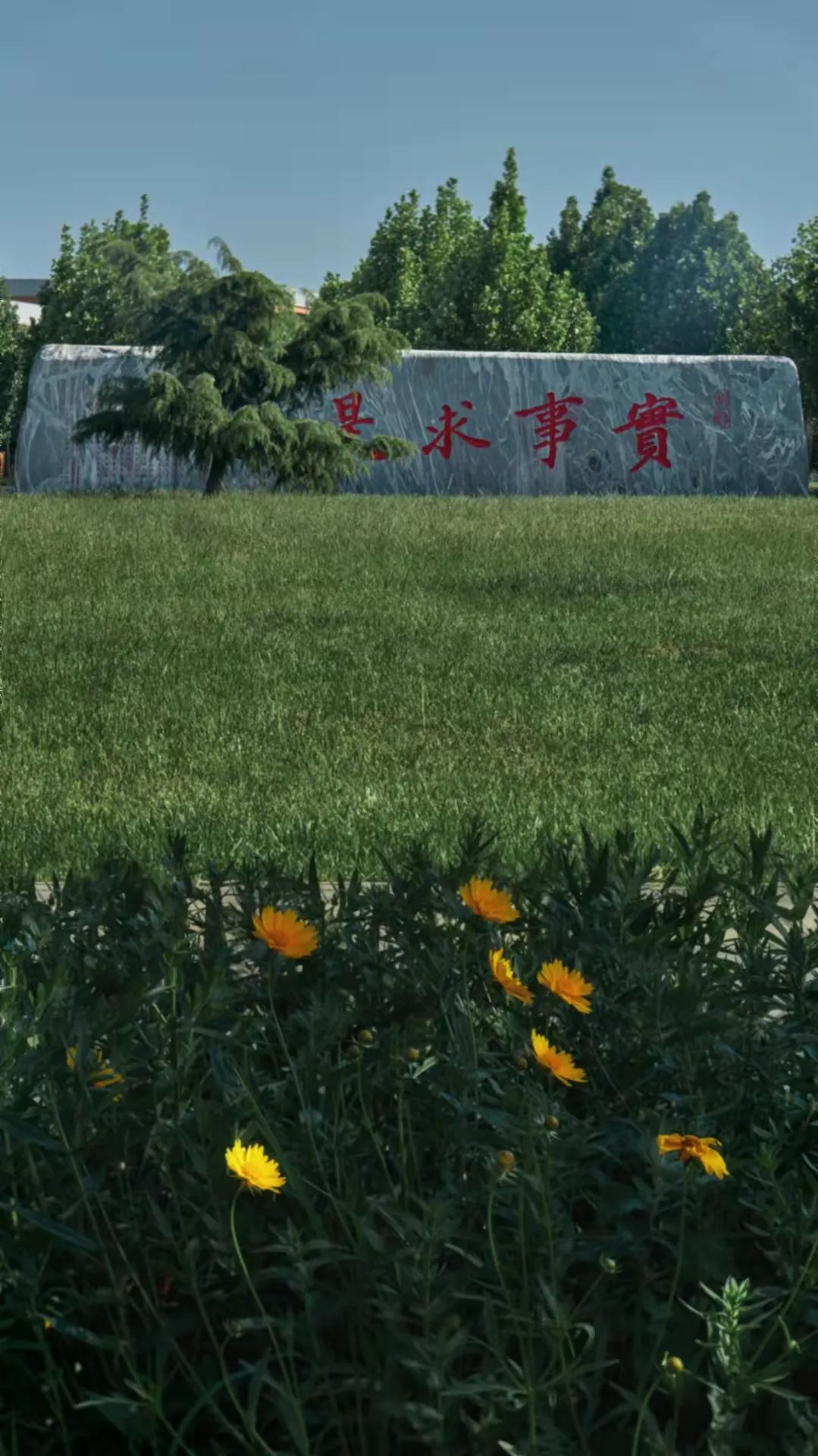 一年换一次，天大校庆专属头像壁纸来啦！