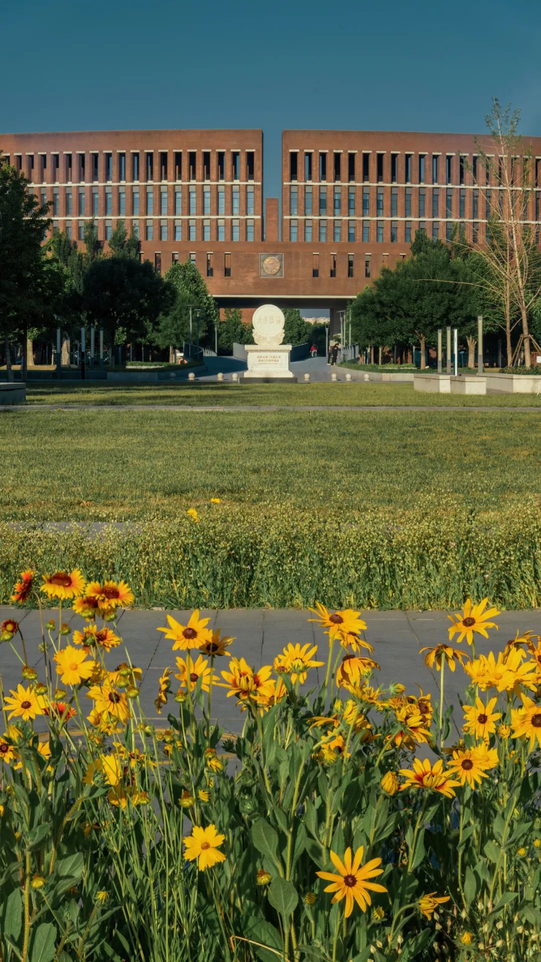 一年换一次，天大校庆专属头像壁纸来啦！