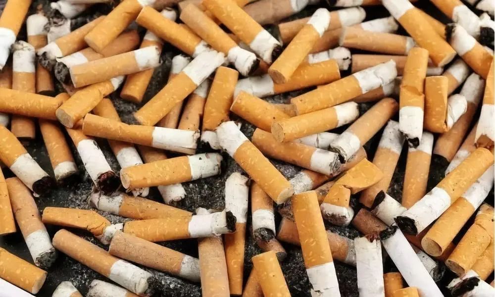 烟蒂橡皮筋纸尿裤电蚊香片外卖餐盒废笔芯榴莲壳备注:以上其他垃圾的