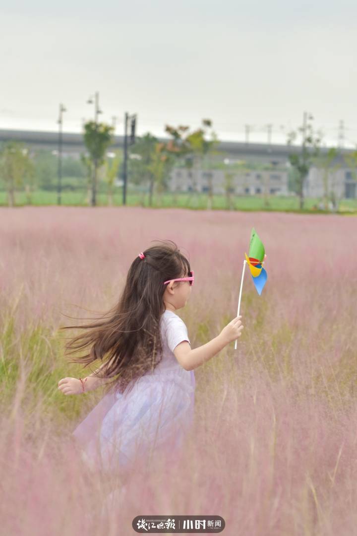 「好摄之友·晒年华②」｜@月亮：花花草草是我的最爱