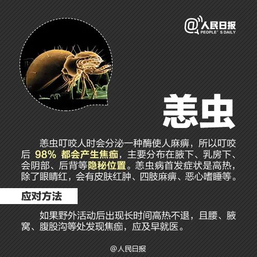 内脏损伤会自愈吗（内脏损伤能恢复吗）-第5张图片-华展网