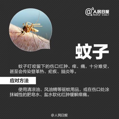 内脏损伤会自愈吗（内脏损伤能恢复吗）-第11张图片-华展网