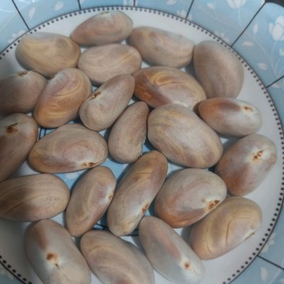 菠萝蜜的核怎么做好吃（记住这几个小技巧新手也能做蜜核）