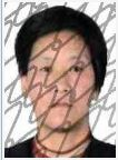 节后首次曝光！甘肃这12名“老赖”老板被列入“黑名单”