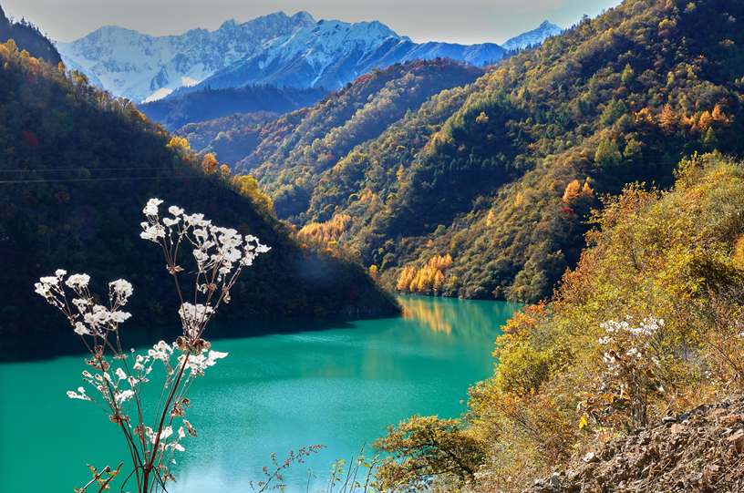 平武旅游(秘境平武) - 悦闻天下