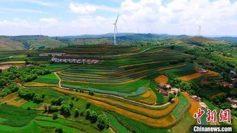 帕特里克·奈斯：中国道家生态思想与西方“永续农业”理念有何相似之处？