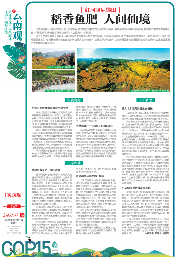 红河哈尼梯田