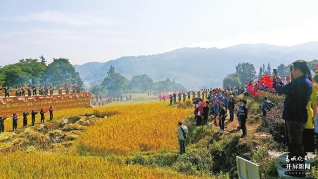 红河哈尼梯田