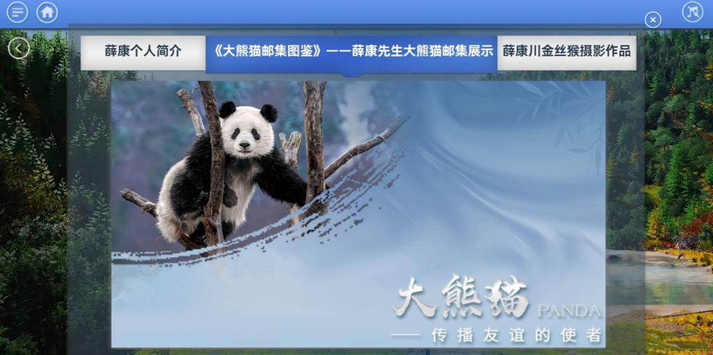 生物多样性大会④丨来四川展厅，看大熊猫金丝猴两大“中国国宝”前世今生