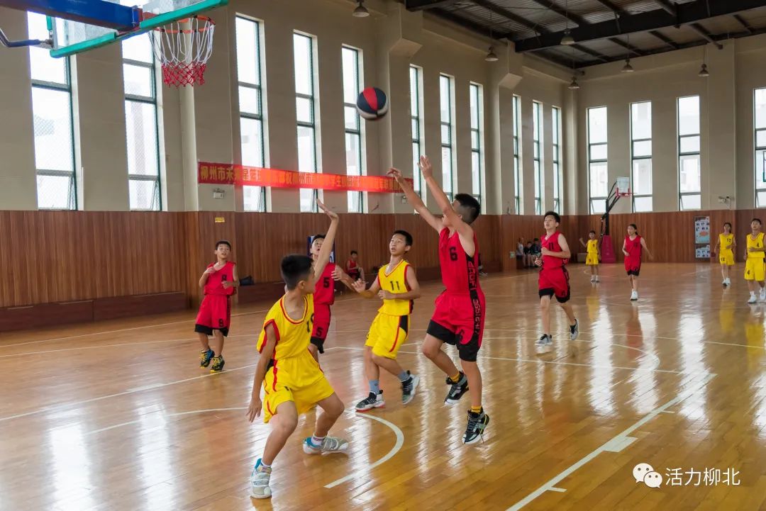 柳州市哪里有学校篮球比赛(篮球小将上线！柳州市首届小学生校园篮球班级冠军联赛在柳北区开幕……)