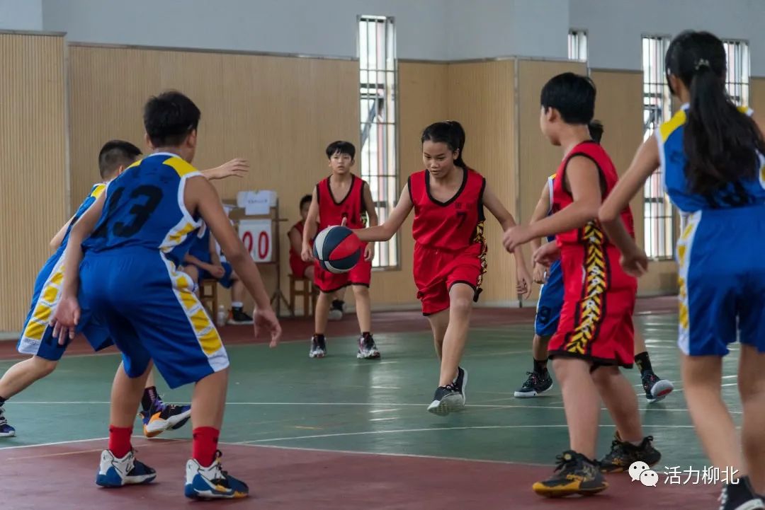 柳州市哪里有学校篮球比赛(篮球小将上线！柳州市首届小学生校园篮球班级冠军联赛在柳北区开幕……)