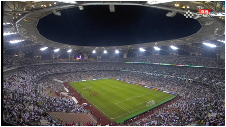 世界杯中国沙特阿拉伯(国足一球憾负，沙特球迷兴奋了：“沙特阿拉伯是亚洲之王”)