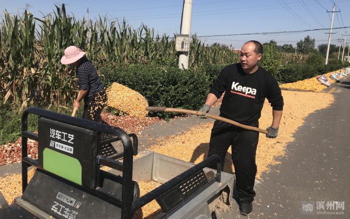 516臺履帶式收獲機(jī)顯身手，濱州市玉米收獲完成逾40%