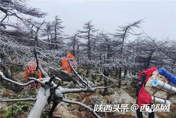 确认失联10天多的驴友遇难！被发现的时候只穿着秋装