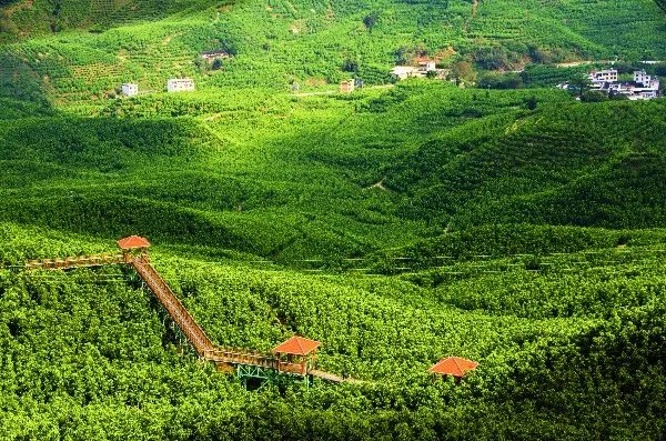 打卡12条漳州乡村精品旅游线路，体验一场秋天的乡村游......