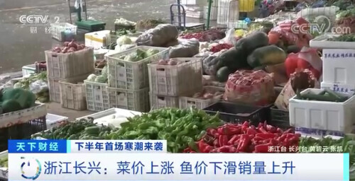 “菜比肉贵”？这里蔬菜价格连连攀升，有的甚至翻番！原因几何→