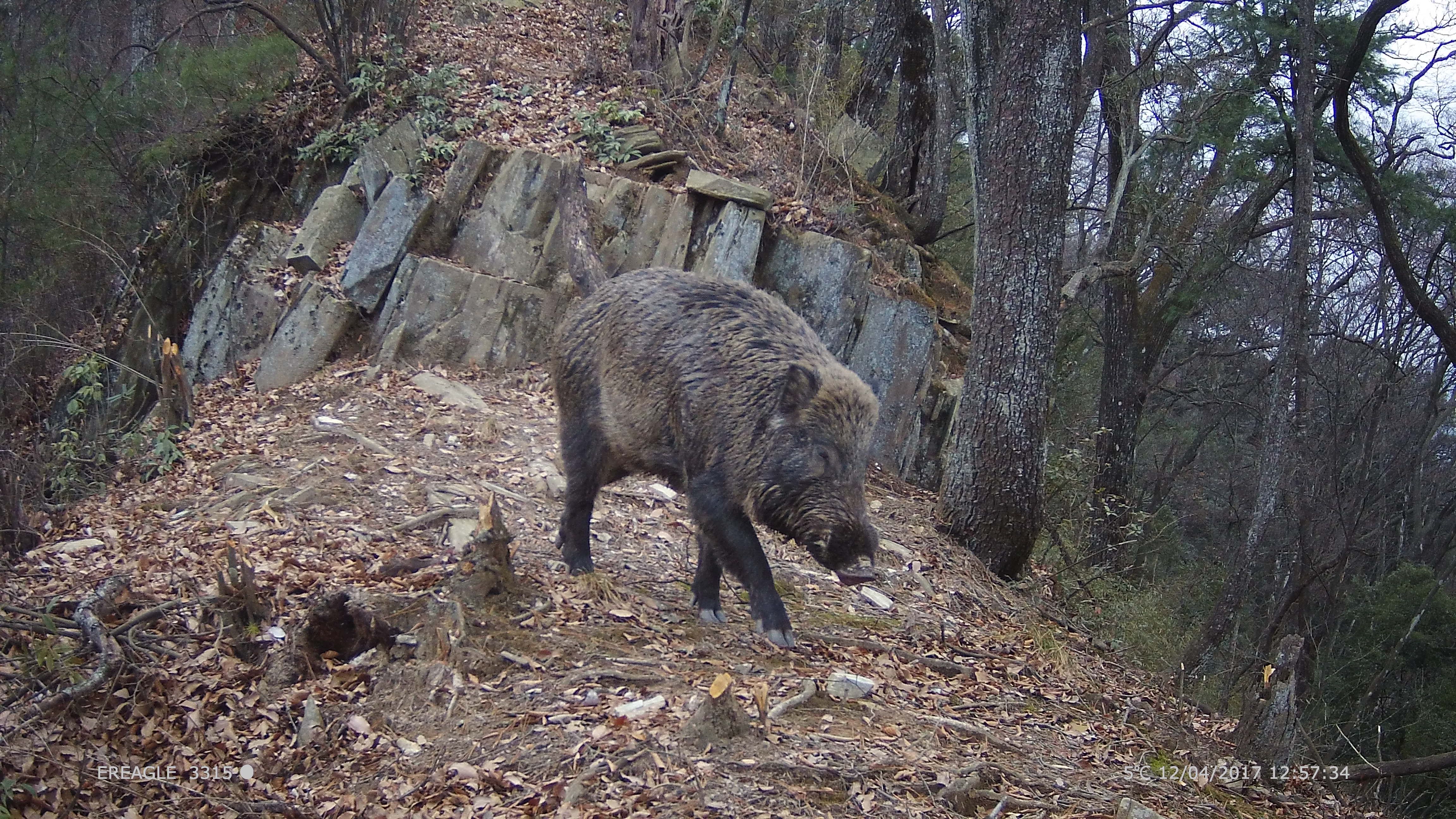 银兽学园 1 银兽学园 1未删减版-朝阳百科