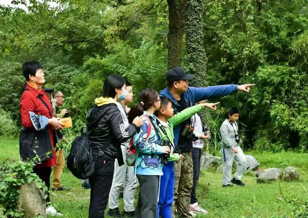 选谁？当苏州10大明星鸟！100本《苏州野外观鸟手册》请你来投票