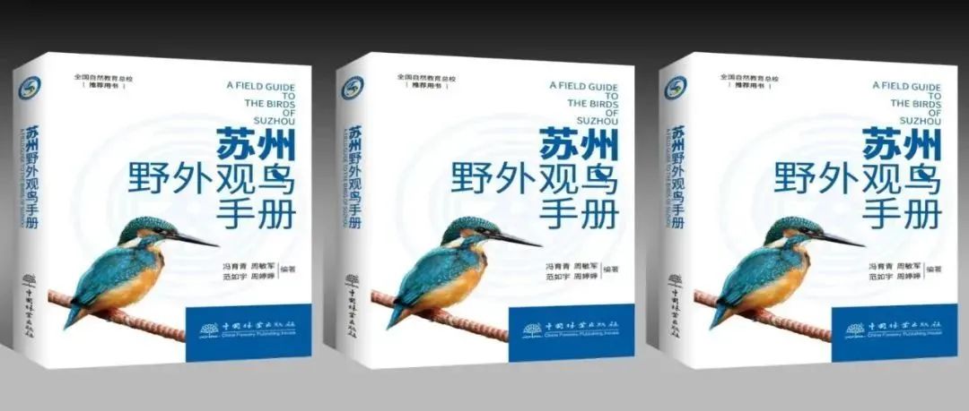 选谁？当苏州10大明星鸟！100本《苏州野外观鸟手册》请你来投票