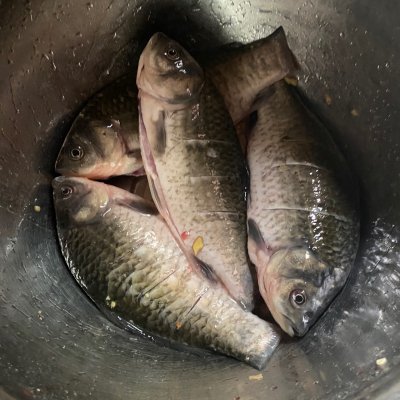家常鯽魚(yú),家常鯽魚(yú)的做法和步驟