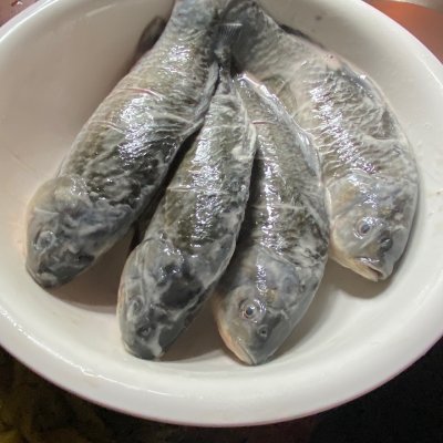 家常鯽魚(yú),家常鯽魚(yú)的做法和步驟