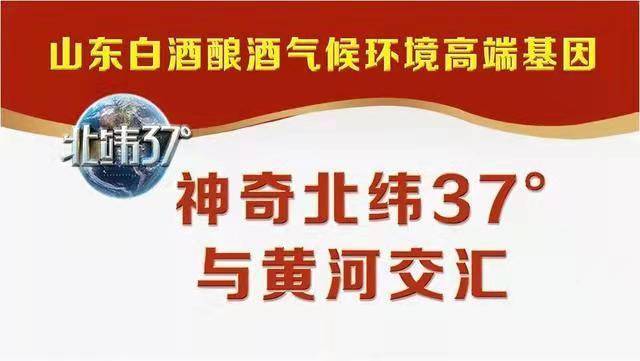 凭借三大高端基因，国井闪亮天津全国糖酒会