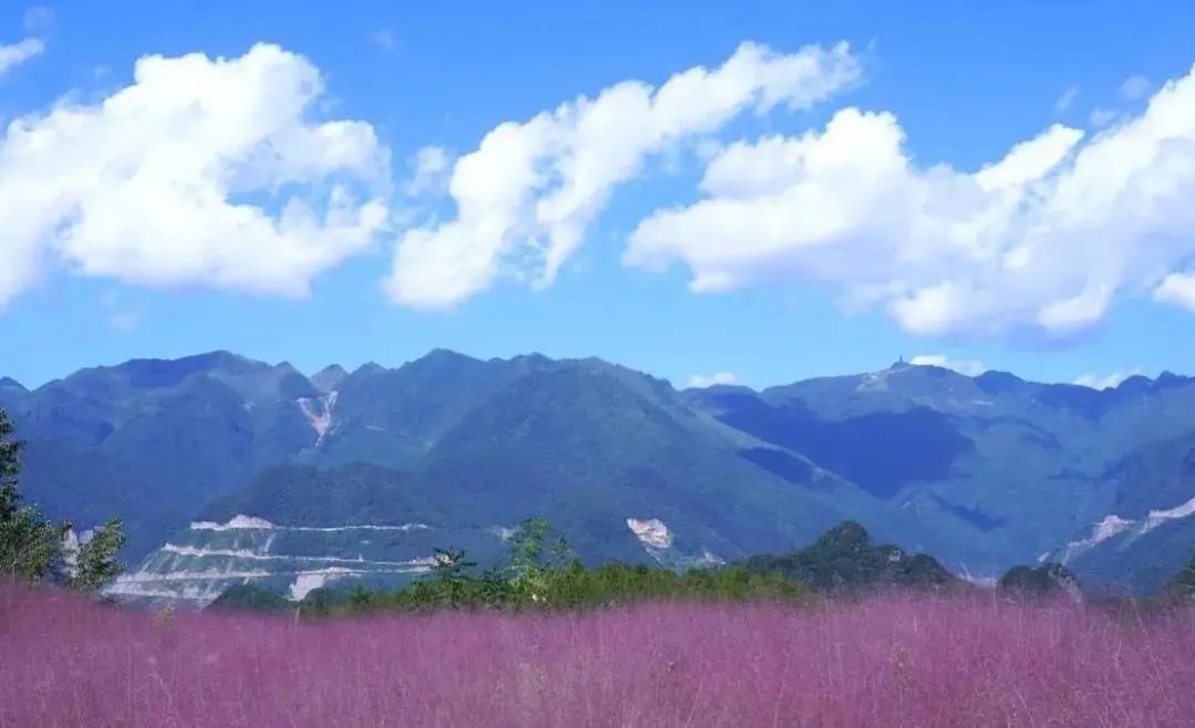 一山有四季，十里不同天！来梦里巴国逍遥快意！