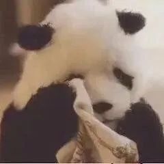 事发五堰！她俩下班路上多看了一眼，立即决定：回派出所！