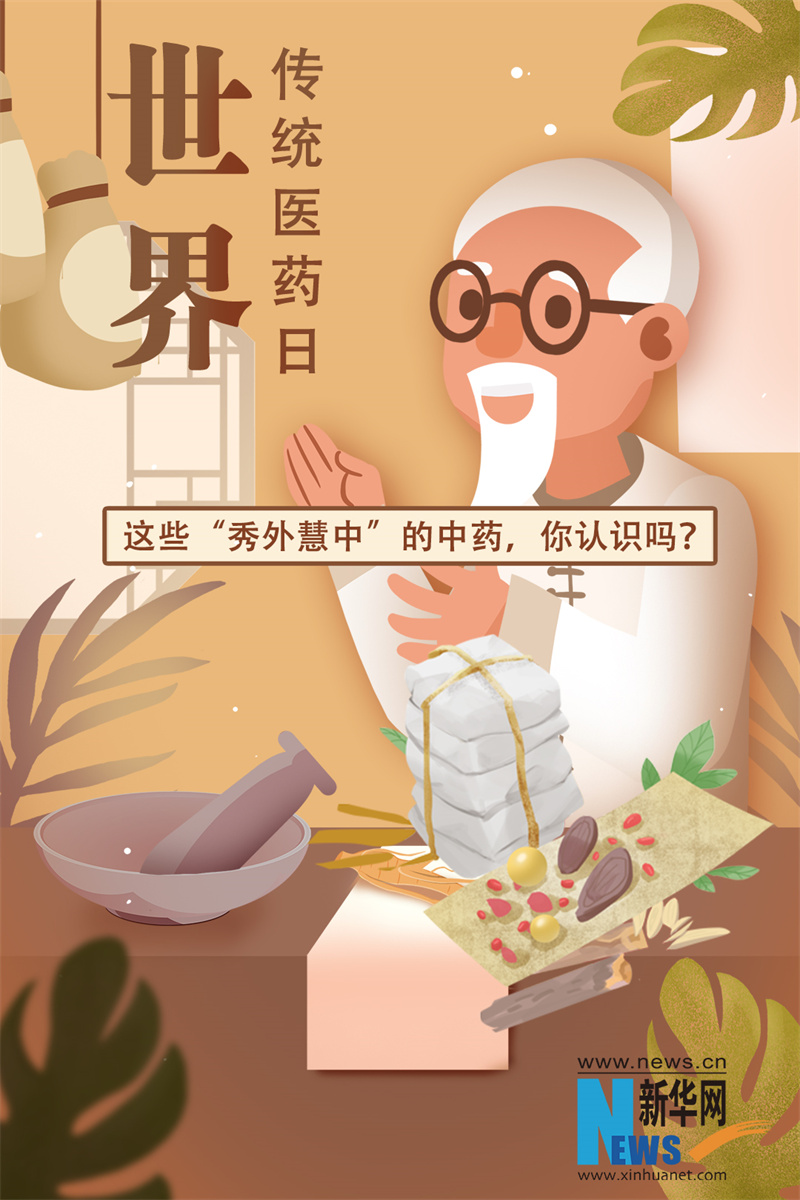 世界传统医药日｜这些“秀外慧中”的中药，你认识吗？