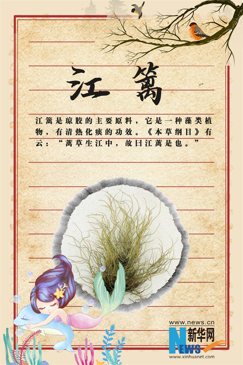 世界传统医药日｜这些“秀外慧中”的中药，你认识吗？