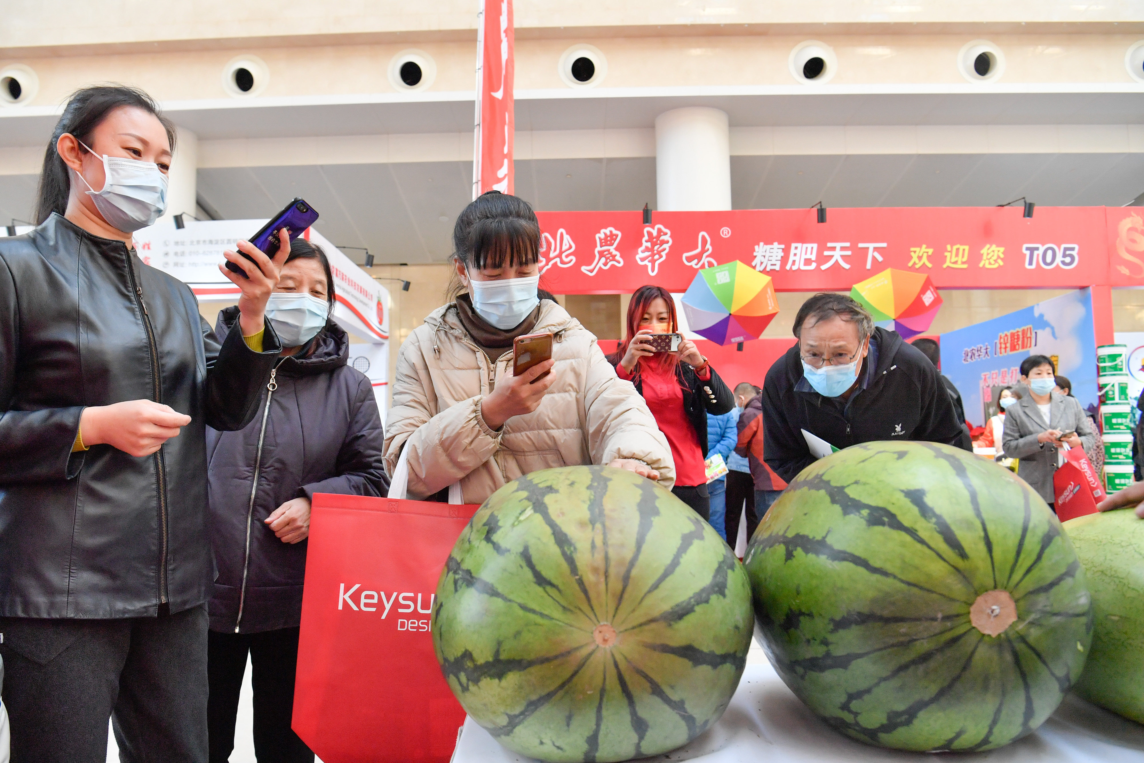 中国农业发挥育种优势 端牢“中国饭碗”