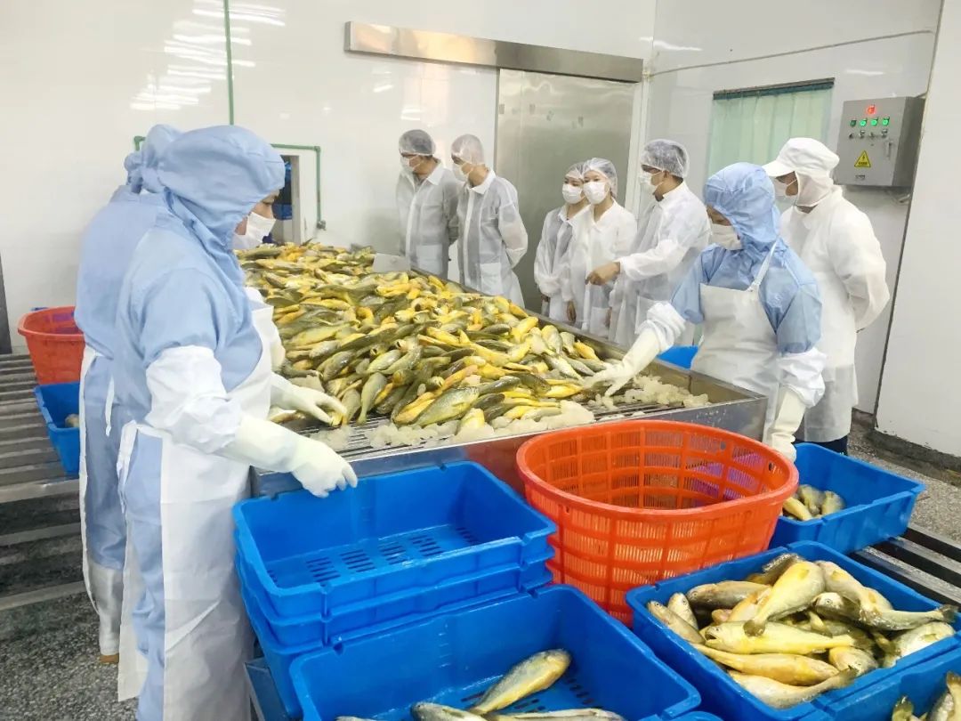 出口食品备案,出口食品备案证明怎么办理