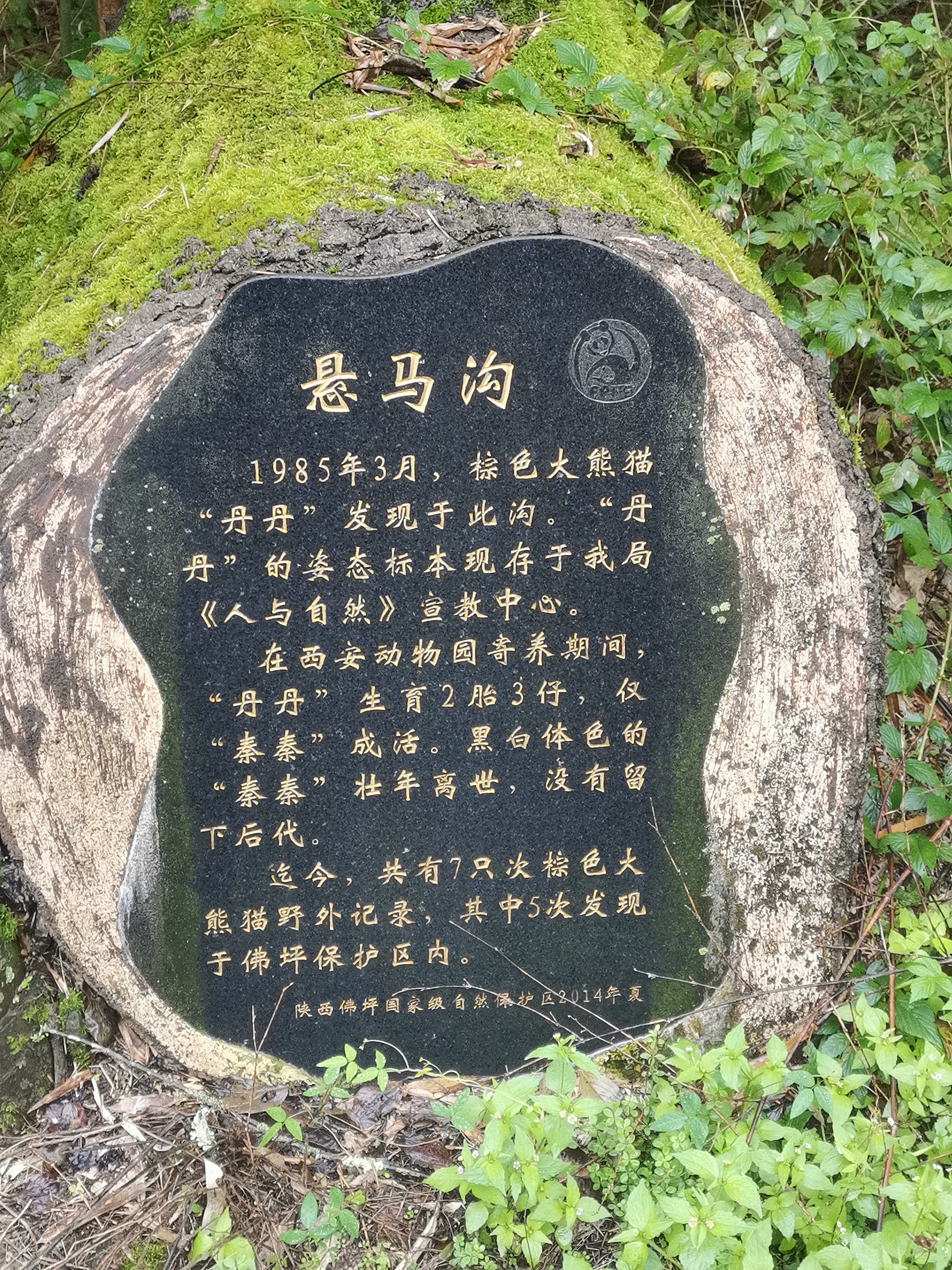 兵基地师兄弟重逢两场就玩完(3万人“边城”何以名列国家公园)