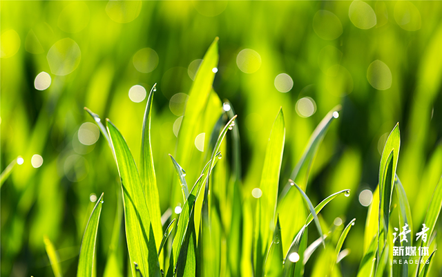 这10句经典台词，有你熟悉的么？