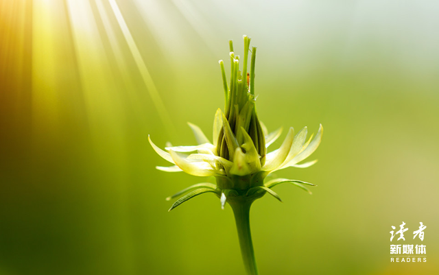 这10句经典台词，有你熟悉的么？