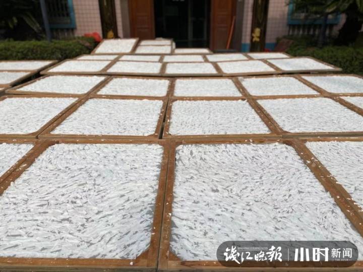 三家村手削藕粉上新，10斤鲜藕才能出1斤粉，泡一碗就是西湖的味道