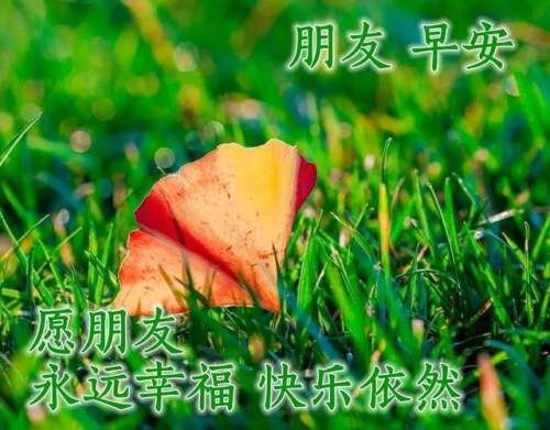 清晨美好正能量励志语录，清新带字图片安康问候祝福图片大全