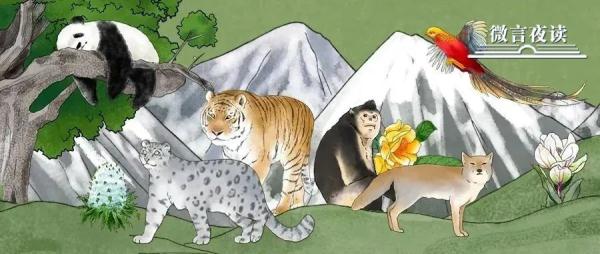 珍惜動物,珍稀動物有哪些