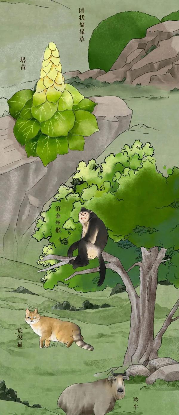 珍惜動物,珍稀動物有哪些