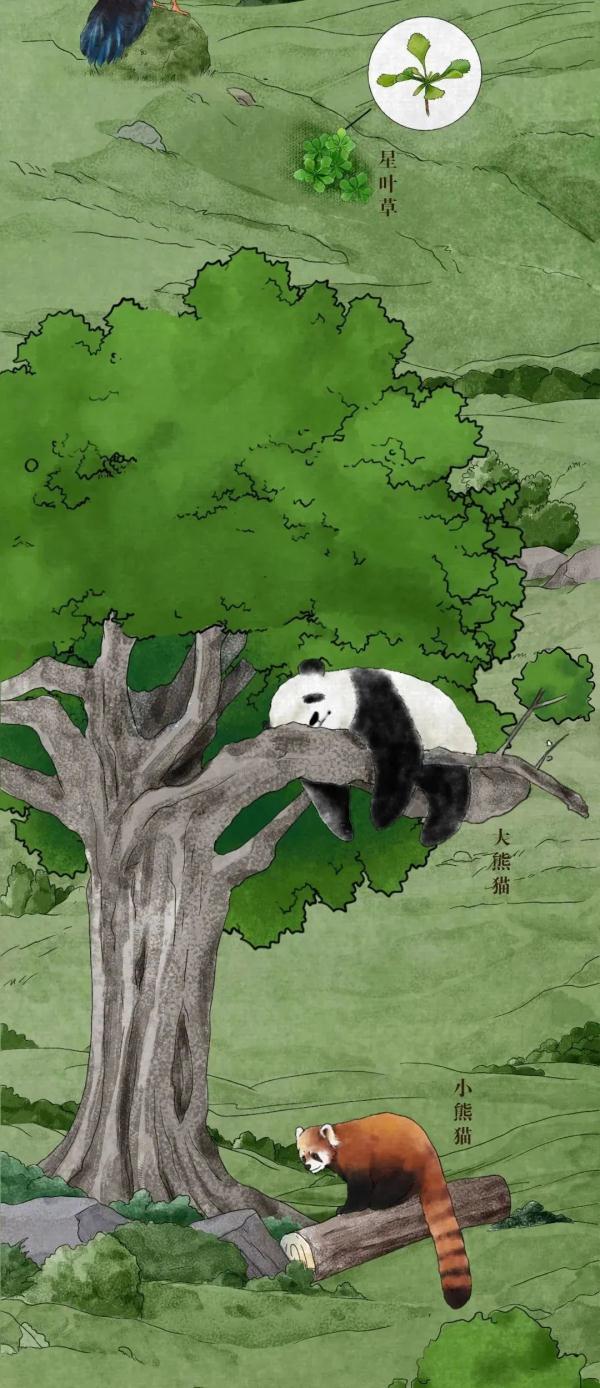 珍惜動物,珍稀動物有哪些