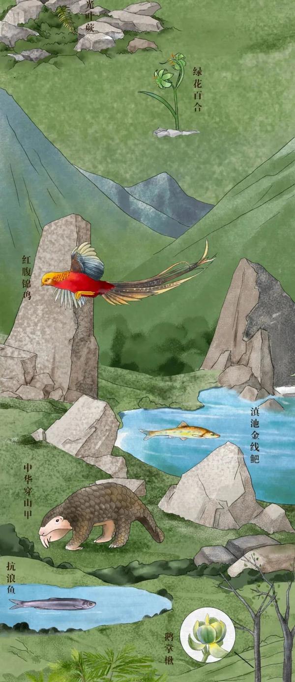 珍惜動物,珍稀動物有哪些