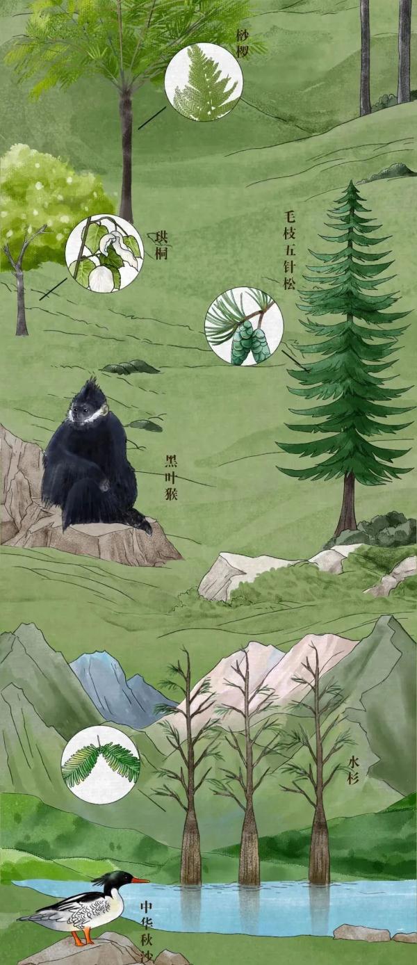 珍惜動物,珍稀動物有哪些