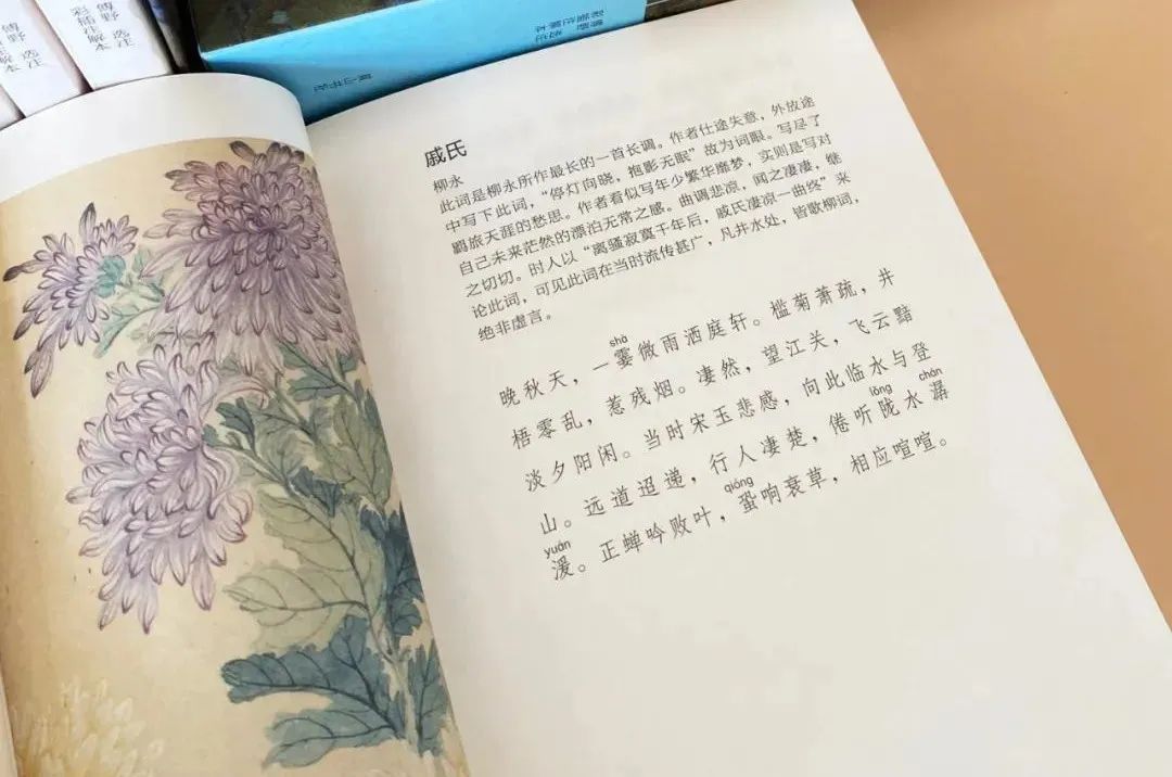 这是我见过美到窒息的宋词，没有之一