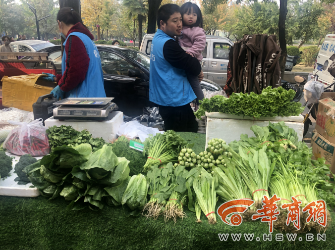 菠菜一斤11元 西安市民：近期绿叶菜价格涨疯了