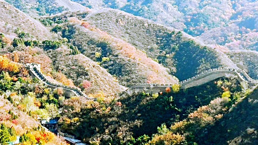 巍巍长城亘山川，枫叶流丹，万山红遍，层林尽染，景色万千